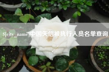 盐城中国失信被执行人员名单查询