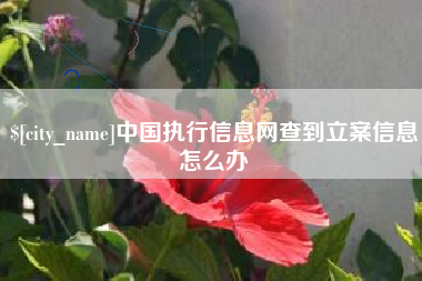 盐城中国执行信息网查到立案信息怎么办
