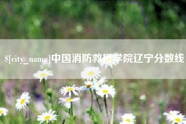 盐城中国消防救援学院辽宁分数线