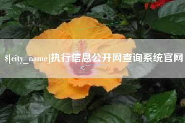 盐城执行信息公开网查询系统官网