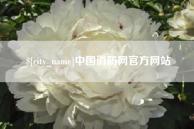 盐城中国消防网官方网站