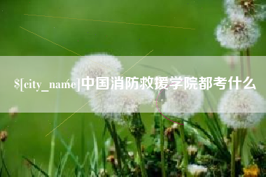 盐城中国消防救援学院都考什么