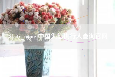 盐城中国失信执行人查询官网