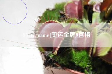 盐城奥运金牌9宫格