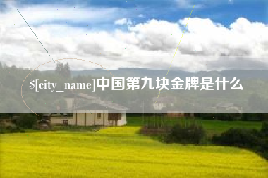 盐城中国第九块金牌是什么