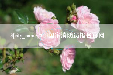 盐城2021国家消防员报名官网