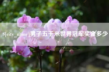 盐城男子五千米世界冠军奖金多少