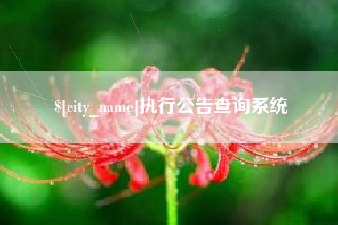 盐城执行公告查询系统