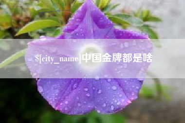 盐城中国金牌都是啥