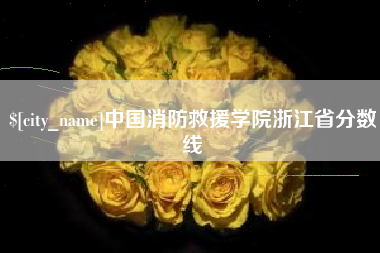 盐城中国消防救援学院浙江省分数线