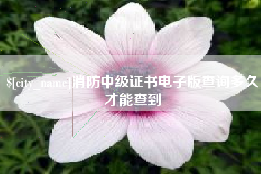 盐城消防中级证书电子版查询多久才能查到