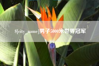 盐城男子5000米世界冠军