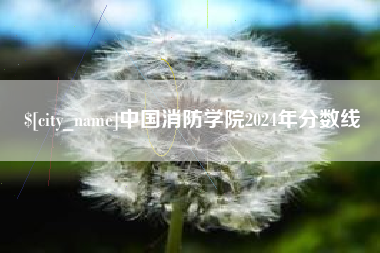盐城中国消防学院2024年分数线