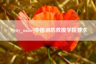 盐城中国消防救援学院要求