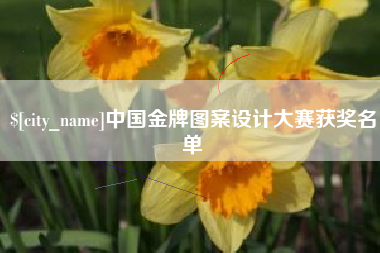 盐城中国金牌图案设计大赛获奖名单