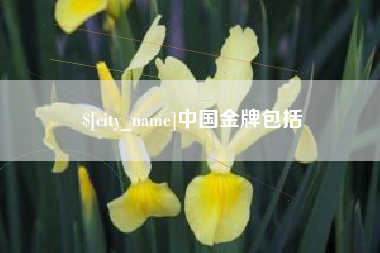 盐城中国金牌包括
