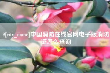 盐城中国消防在线官网电子版消防证怎么查询
