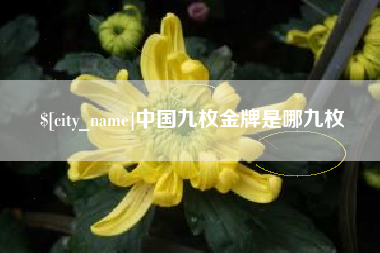 盐城中国九枚金牌是哪九枚