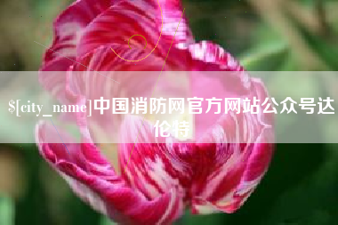 盐城中国消防网官方网站公众号达伦特