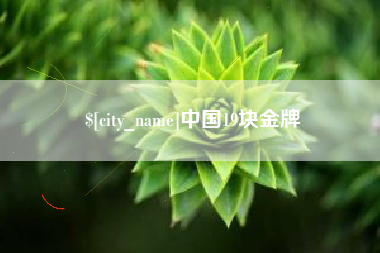 盐城中国19块金牌