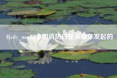 盐城全国消防日是从哪年发起的