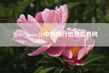 盐城1.中国执行信息公开网