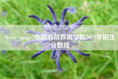 盐城中国消防救援学院2024年招生分数线