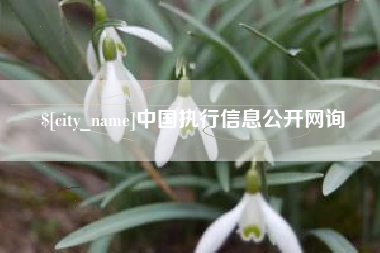 盐城中国执行信息公开网询