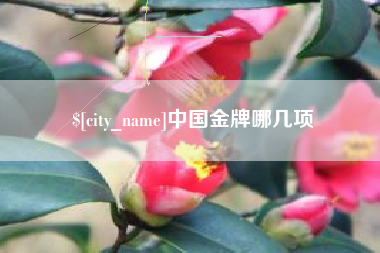 盐城中国金牌哪几项