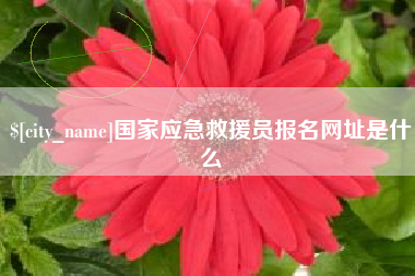 盐城国家应急救援员报名网址是什么