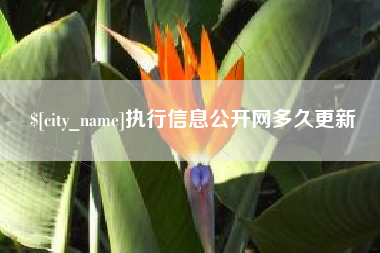 盐城执行信息公开网多久更新
