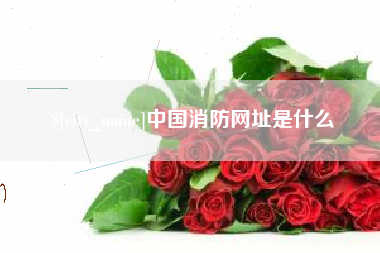 盐城中国消防网址是什么