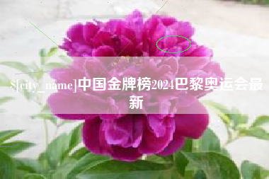 盐城中国金牌榜2024巴黎奥运会最新