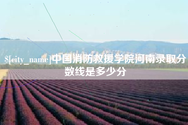 盐城中国消防救援学院河南录取分数线是多少分