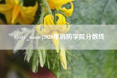 盐城2020年消防学院分数线