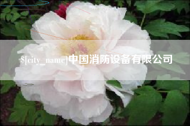盐城中国消防设备有限公司
