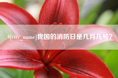 盐城我国的消防日是几月几号？