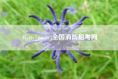 盐城全国消防招考网