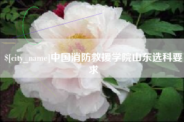 盐城中国消防救援学院山东选科要求