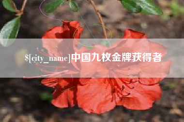 盐城中国九枚金牌获得者