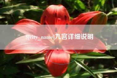 盐城九宫详细说明