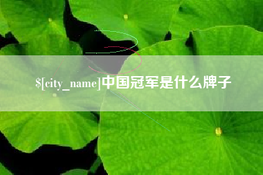 盐城中国冠军是什么牌子