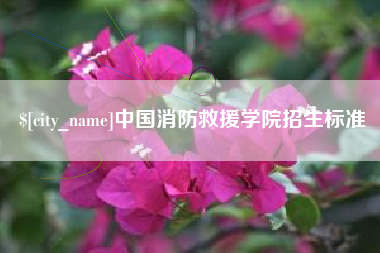 盐城中国消防救援学院招生标准