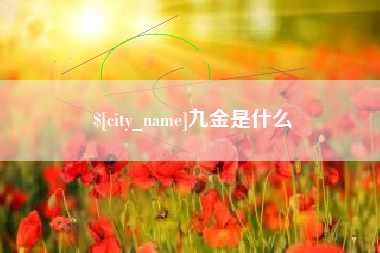 盐城九金是什么