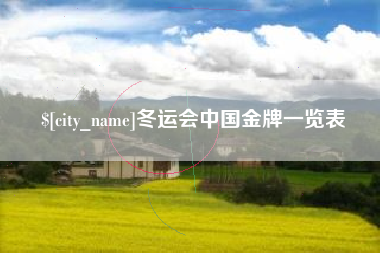 盐城冬运会中国金牌一览表