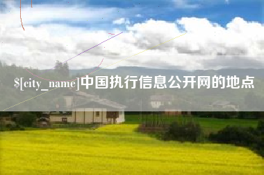 盐城中国执行信息公开网的地点