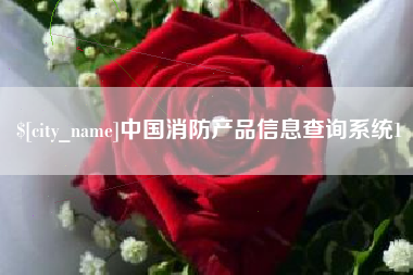 盐城中国消防产品信息查询系统1