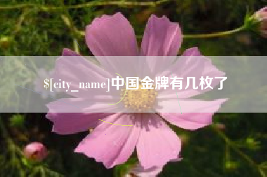 盐城中国金牌有几枚了
