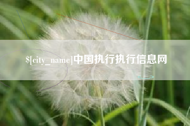 盐城中国执行执行信息网