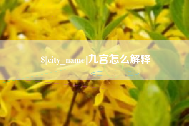 盐城九宫怎么解释